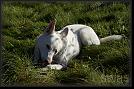 44 Hoest-Herbst-Autumn 07 * 3176 x 2096 * (4.58MB)